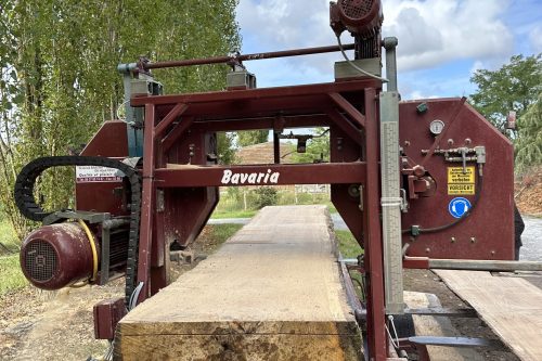bavaria-ancien-modele-tete-coupe