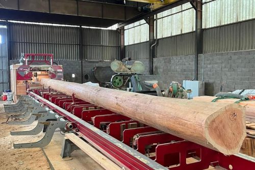 Scierie SERRA AFRICA XE135/160 en action 5