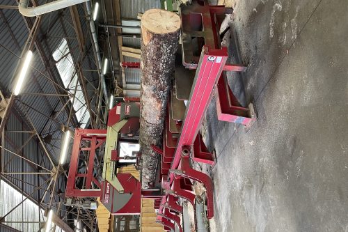 Scierie SERRA AFRICA XE135/160 en action 4