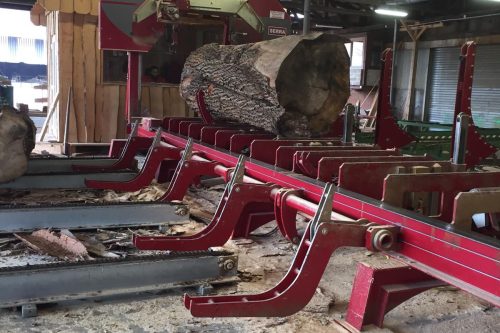 Scierie SERRA AFRICA XE135/160 en action 2